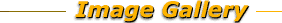 Image Gallery